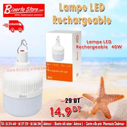 Lampe LED Rechargeable 40W