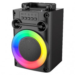 HAUT PARLEUR PORTABLE...